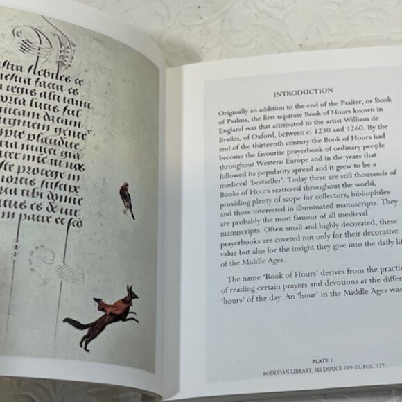 Miniature Series Books of Hours Medieval Manuscripts 1996 Softcover 4"x4.75"NEW - Picture 4 of 9